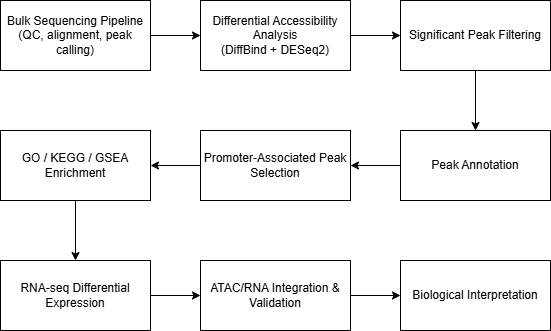ATAC workflow